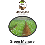 Green Manure