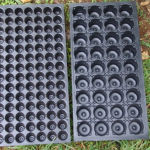 Seed-sowing-Trays
